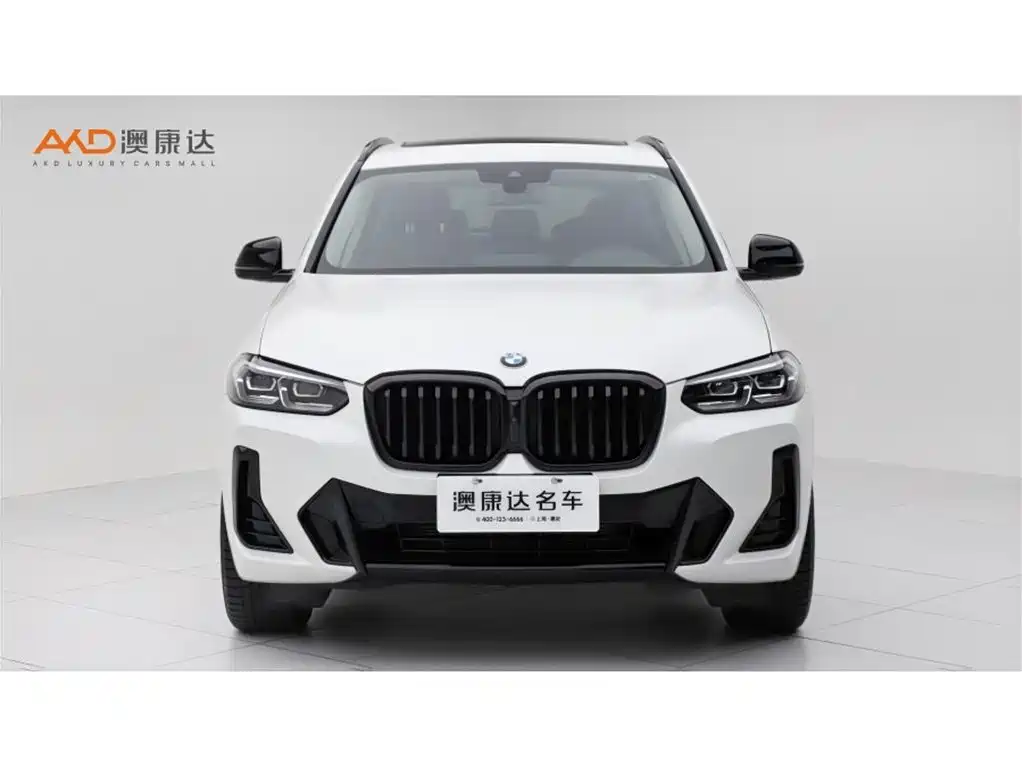 BMW X3 — миниатюра 2