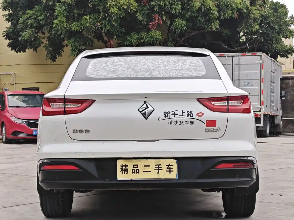 BAOJUN RC 6