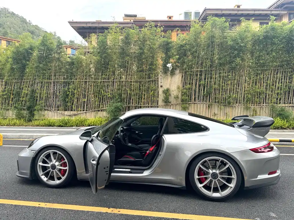 Porsche 911 — миниатюра 6
