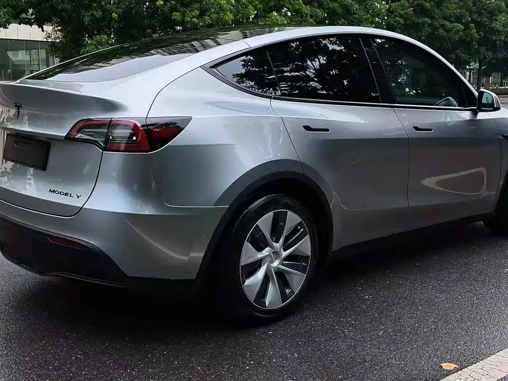 Tesla Model Y — миниатюра 9