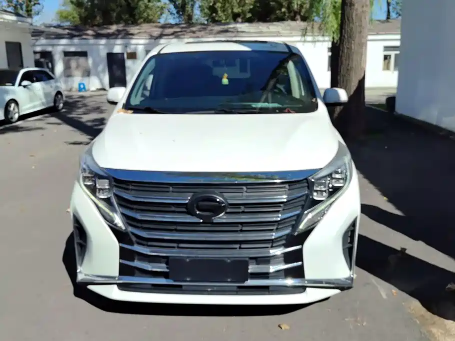 GAC Motor Trumpchi M8 — миниатюра 2
