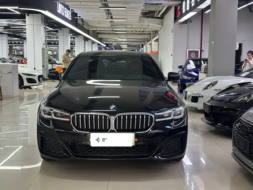 BMW 5 Series New Energy — миниатюра 2