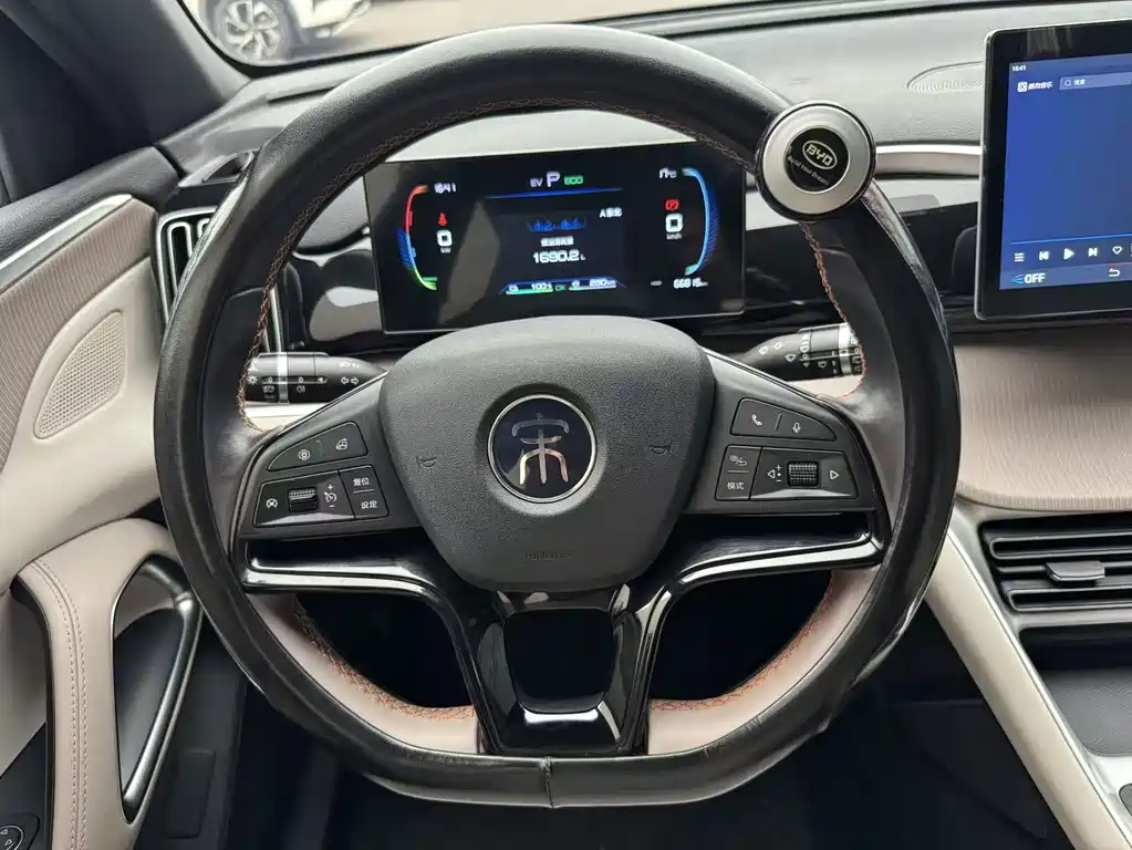 BYD Pro New Energy — миниатюра 8
