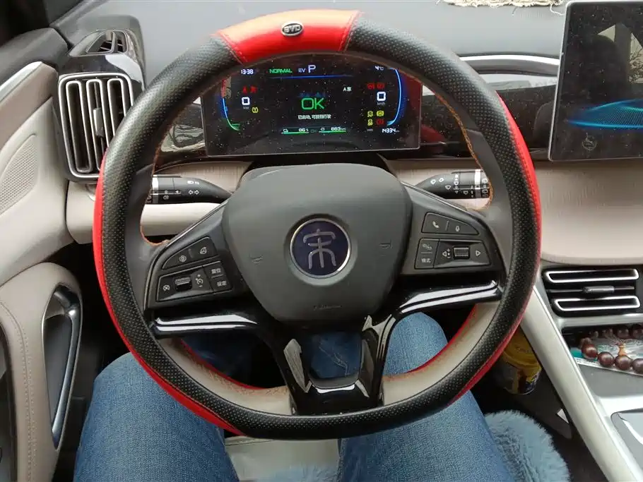 BYD SONGJIANG NEW ENERGY