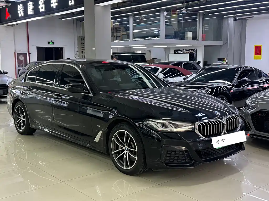 BMW 5 Series New Energy — миниатюра 3