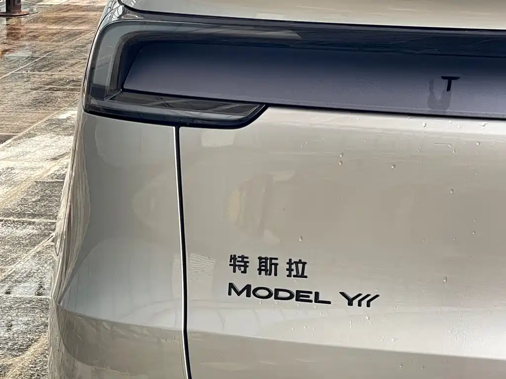 Tesla Model Y L — миниатюра 26