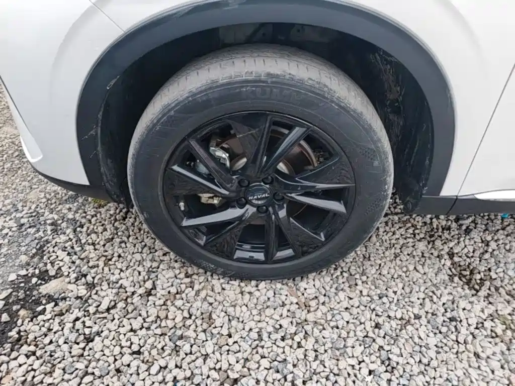Haval H6 — миниатюра 23
