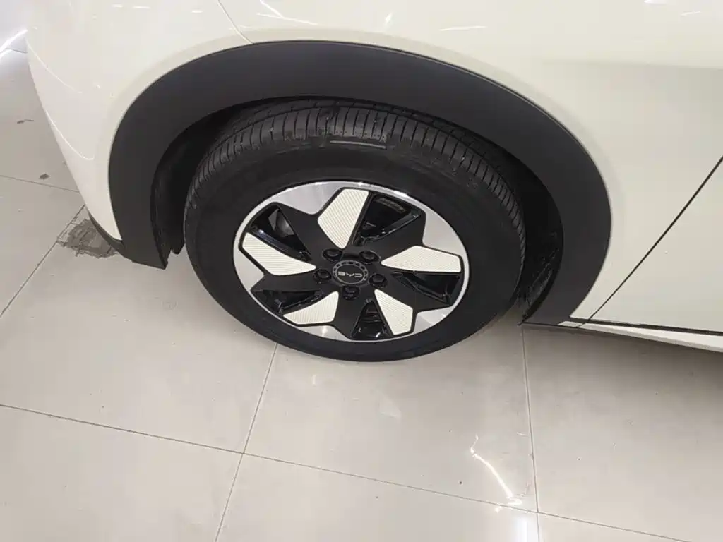 BYD Dolphin — миниатюра 23