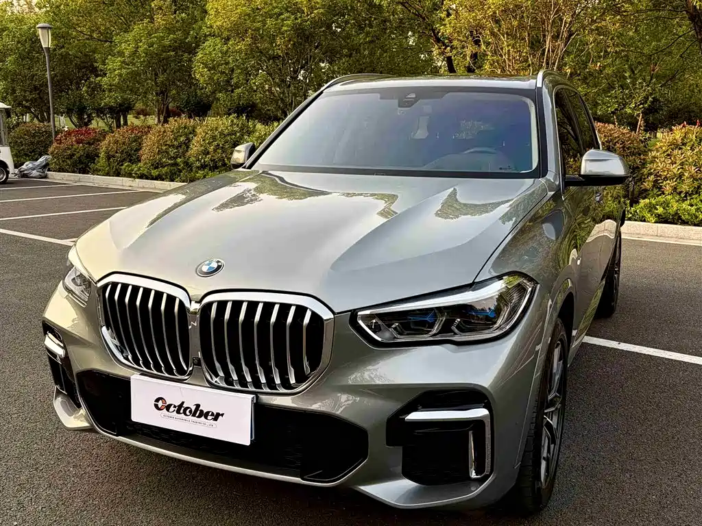 BMW X5 2022 xDrive 30Li Premium M Sport