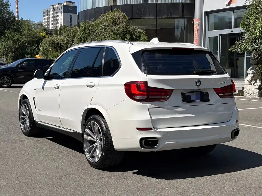 BMW X5 (Import) — миниатюра 6
