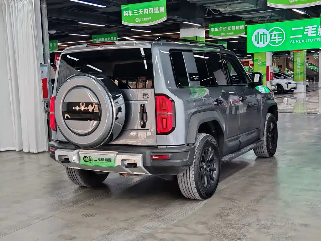 Fang Cheng Bao Leopard 5 — миниатюра 6