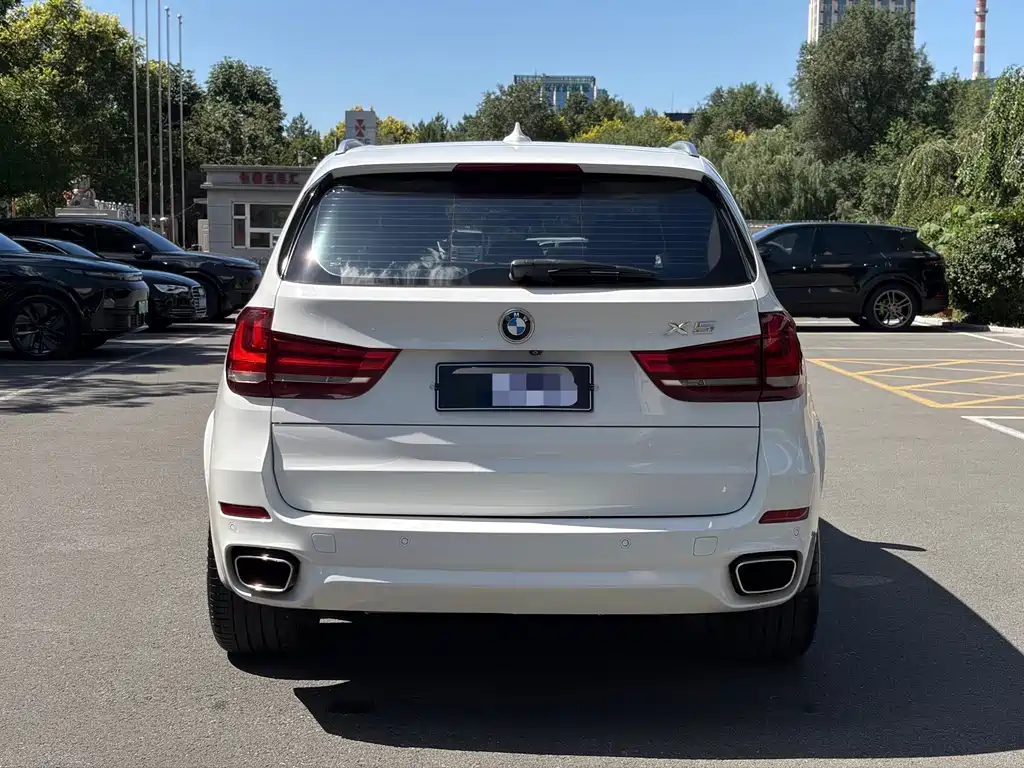 BMW X5 (Import) — миниатюра 4