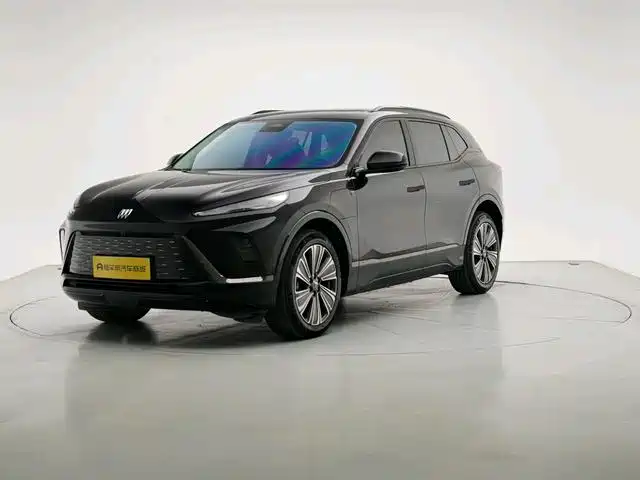 Buick E5 2023 Premium Enjoy Standard Range Edition