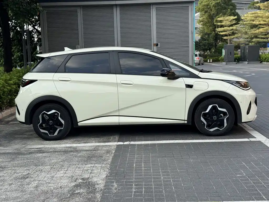 BYD Dolphin — миниатюра 19