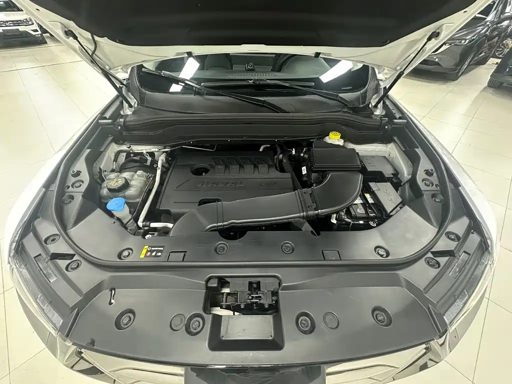 Haval H6 — миниатюра 9