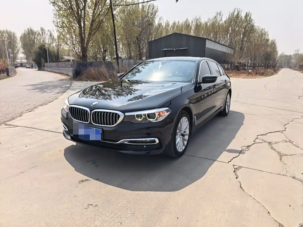BMW 5 Series 2019
