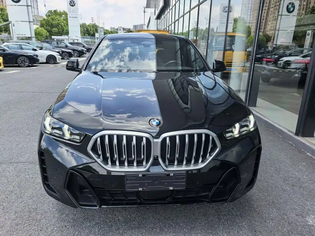 BMW X6 — миниатюра 6