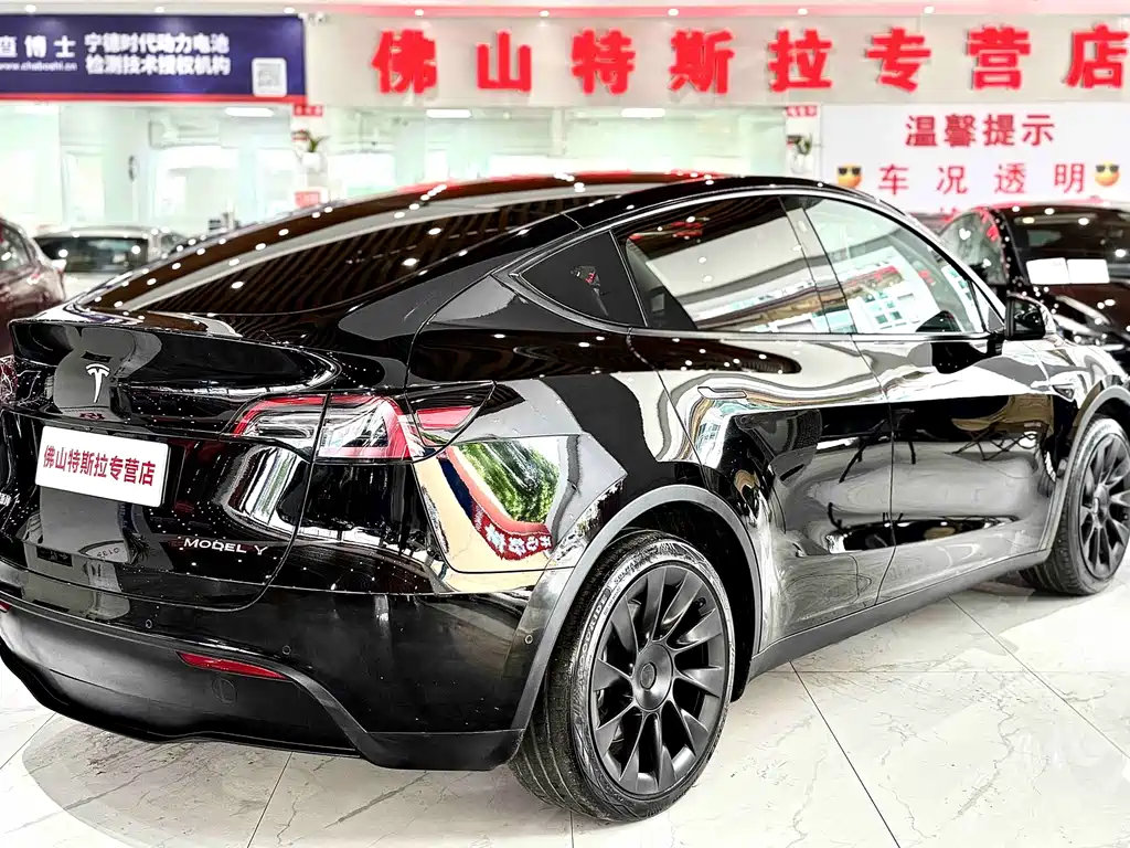 Tesla Model Y — миниатюра 4