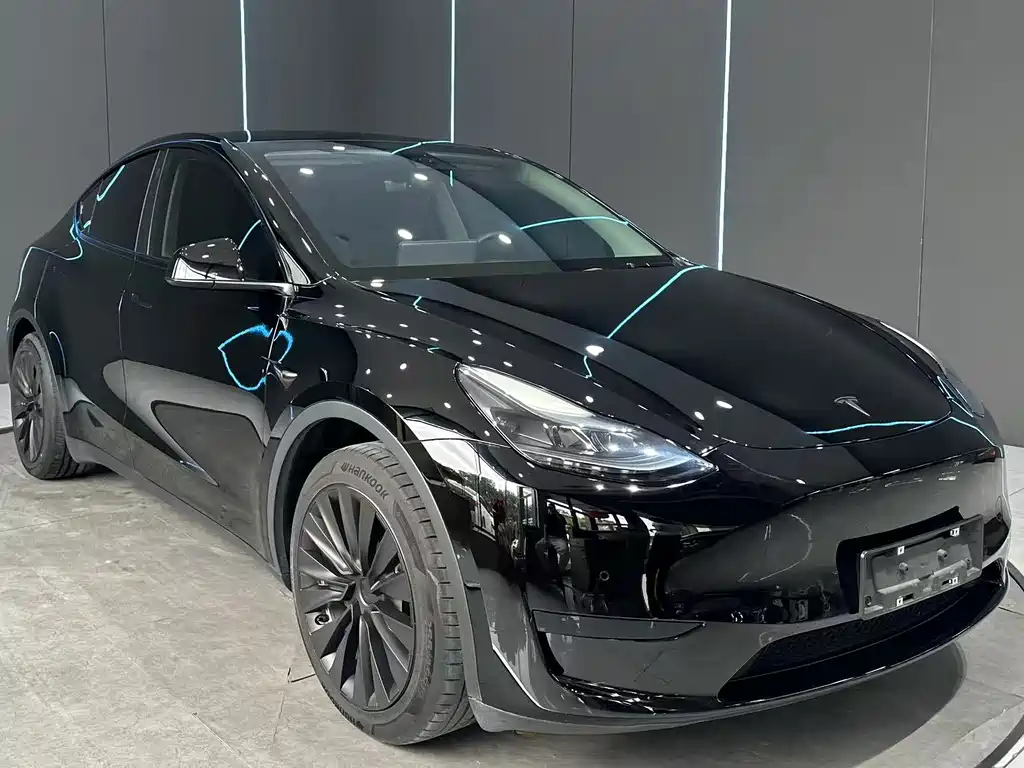 Tesla Model Y — миниатюра 3