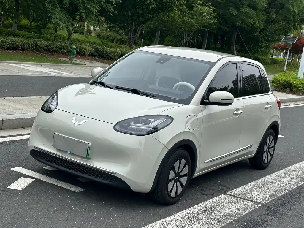Wuling Bingo 2024