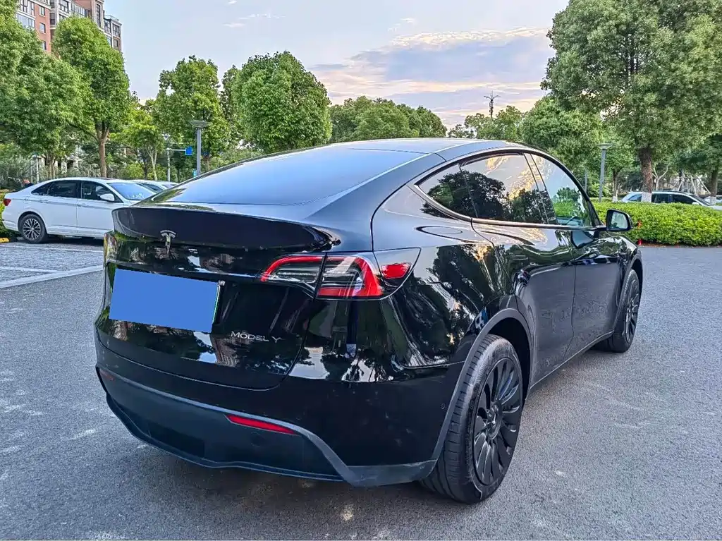 Tesla Model Y — миниатюра 16