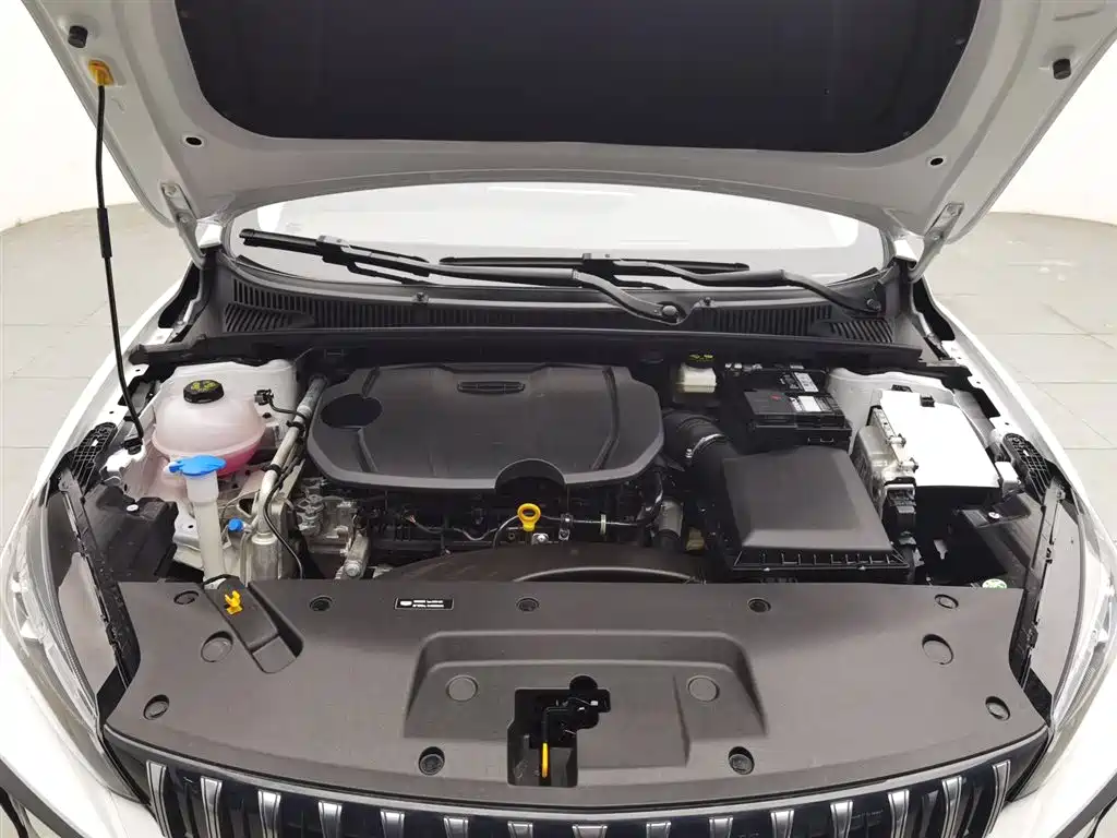 Geely Binrui 2024 COOL 1.5T DCT Champion
