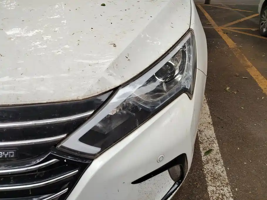 BYD Qin NEV — миниатюра 5