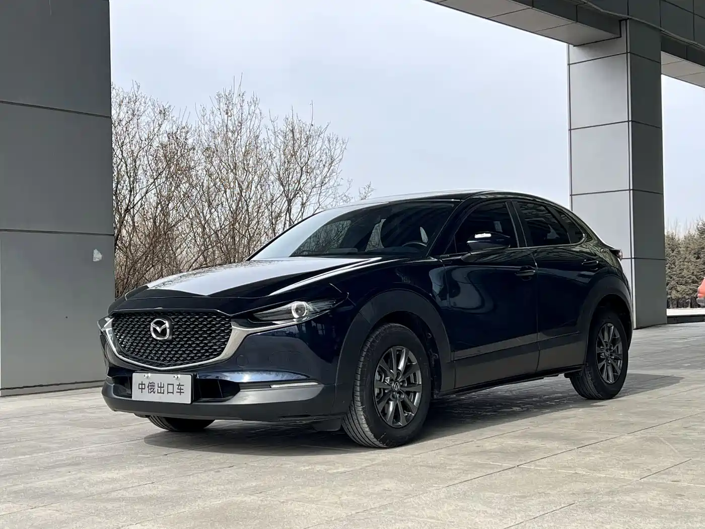 马自达CX-30 2021款 2.0L 自动质悦型 2021