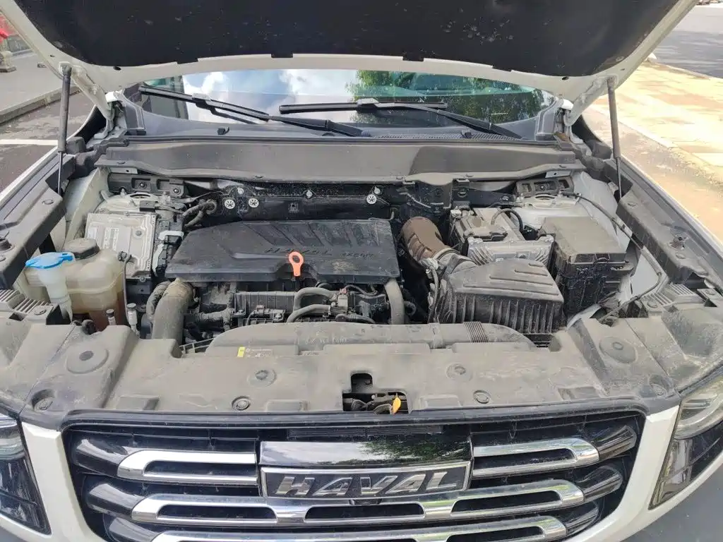 Haval Big Dog — миниатюра 11