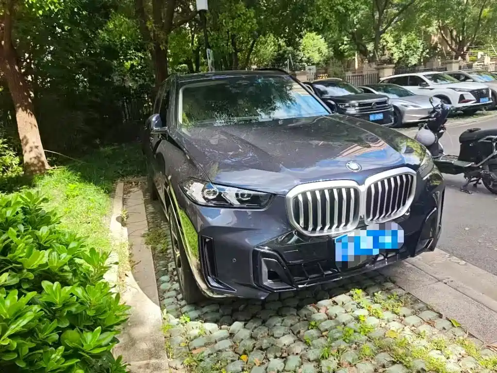 BMW X5 — миниатюра 2