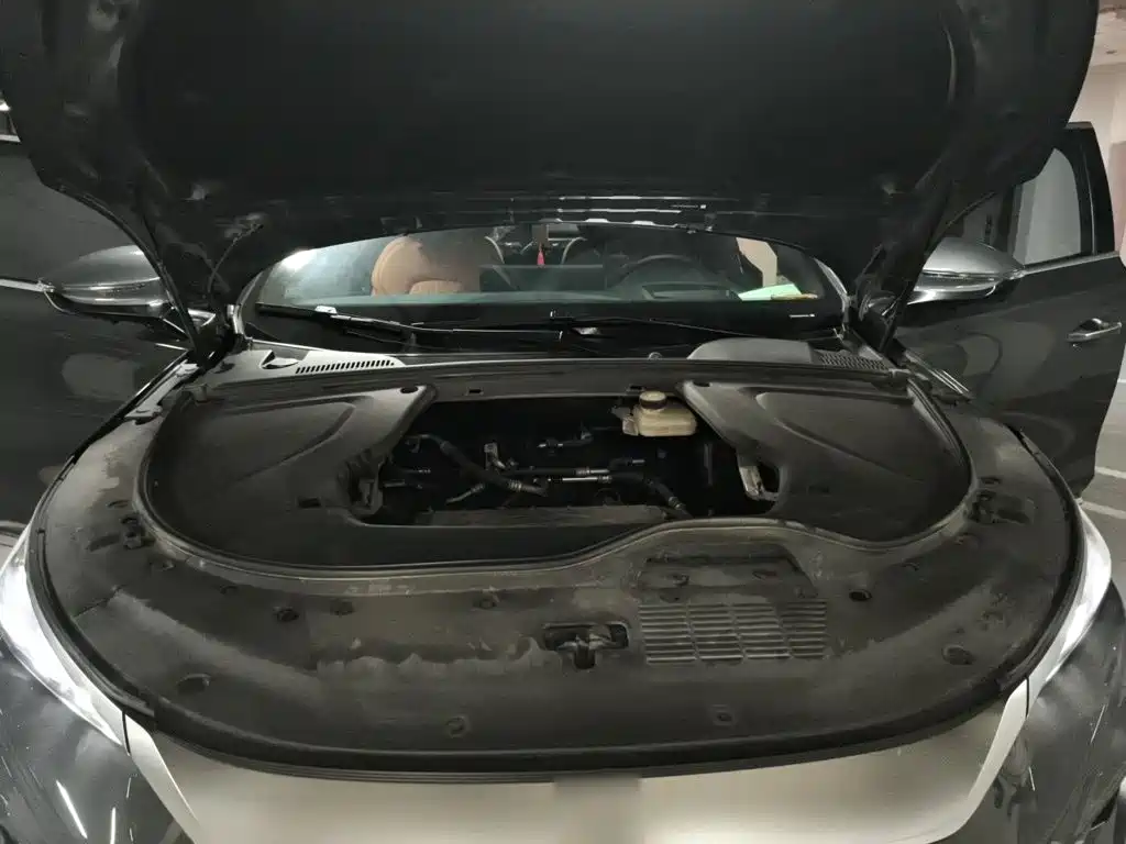 BYD Tang New Energy — миниатюра 11