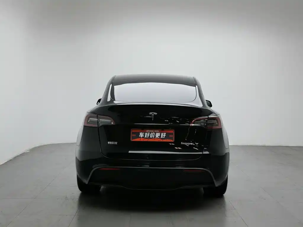 Tesla Model Y — миниатюра 4