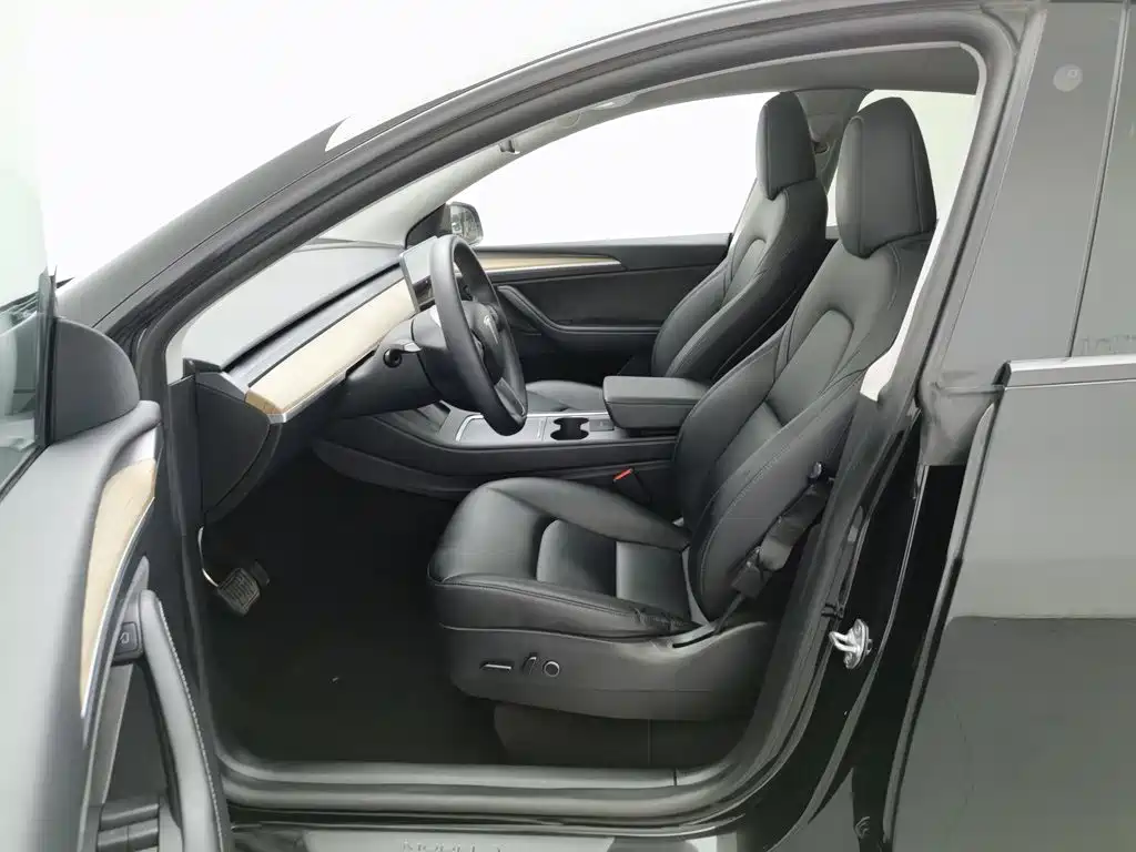 Tesla Model Y — миниатюра 10