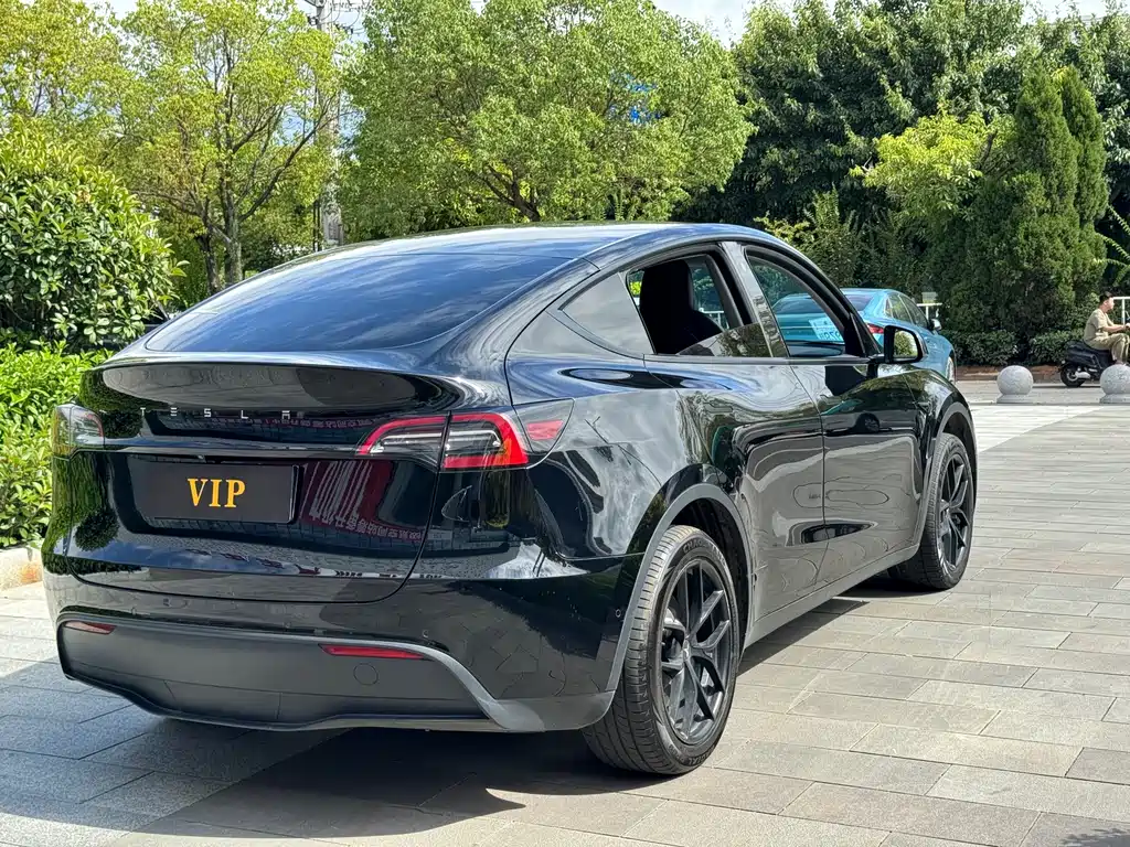 Tesla Model Y — фотографии объявления, Фото 7