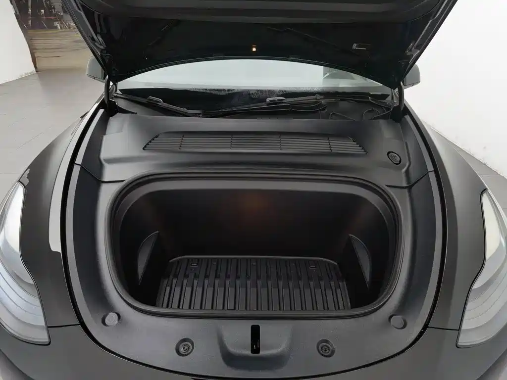 Tesla Model Y — миниатюра 6
