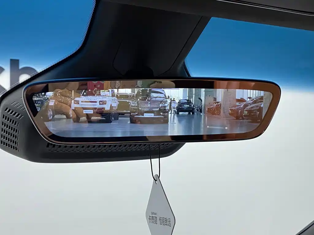 Buick Electra Encasa — миниатюра 14