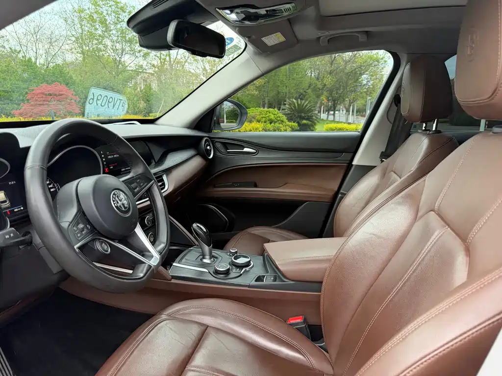 Alfa Romeo Stelvio 2.0T 200HP Luxury Edition, фото 19