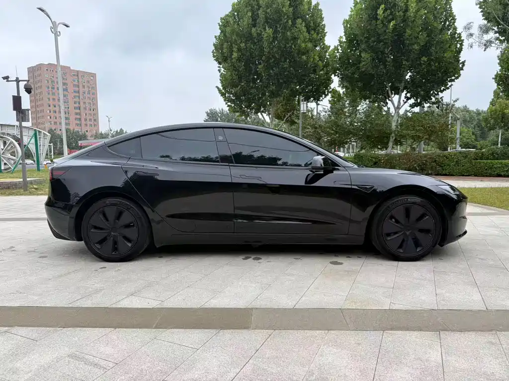Tesla Model 3 — миниатюра 4