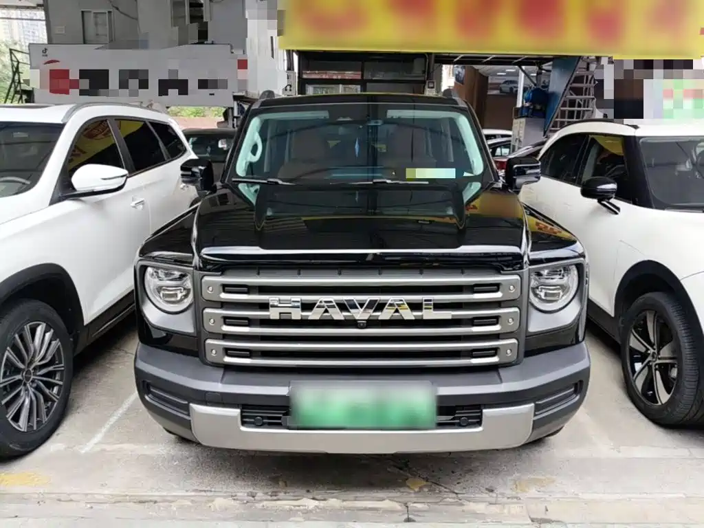 Haval Menglong New Energy — миниатюра 3