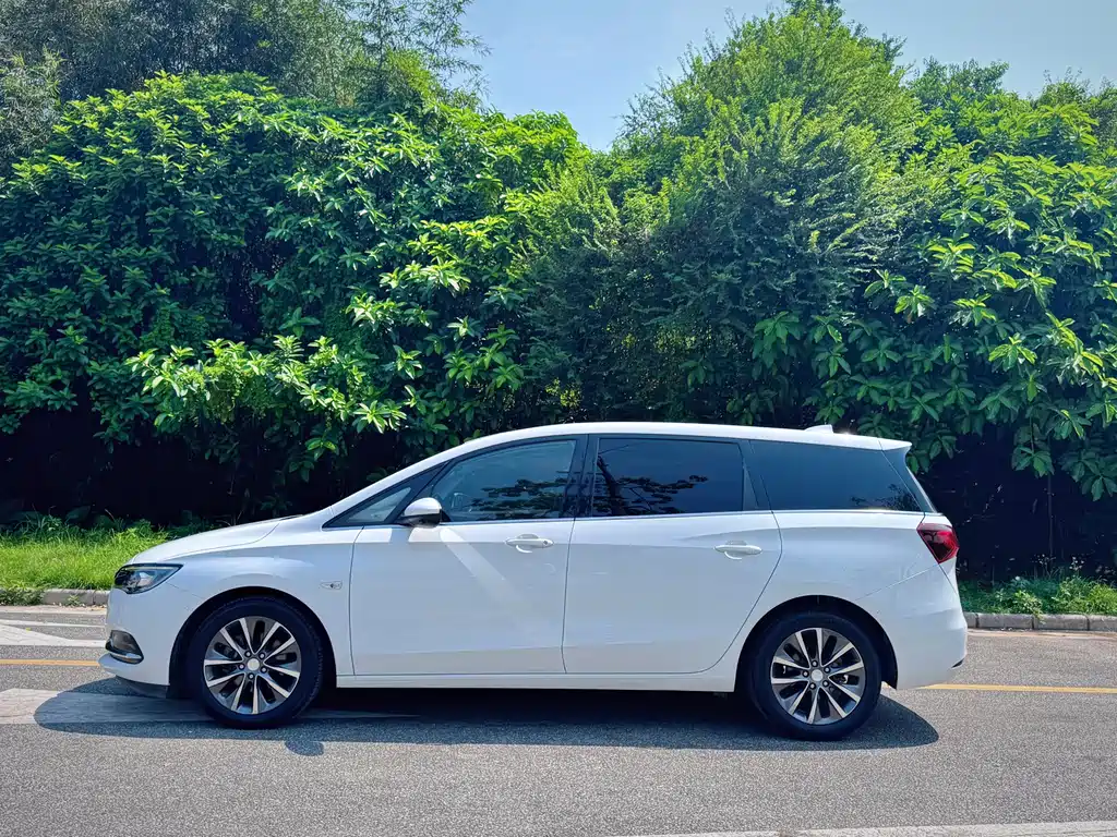Buick GL6 — миниатюра 6