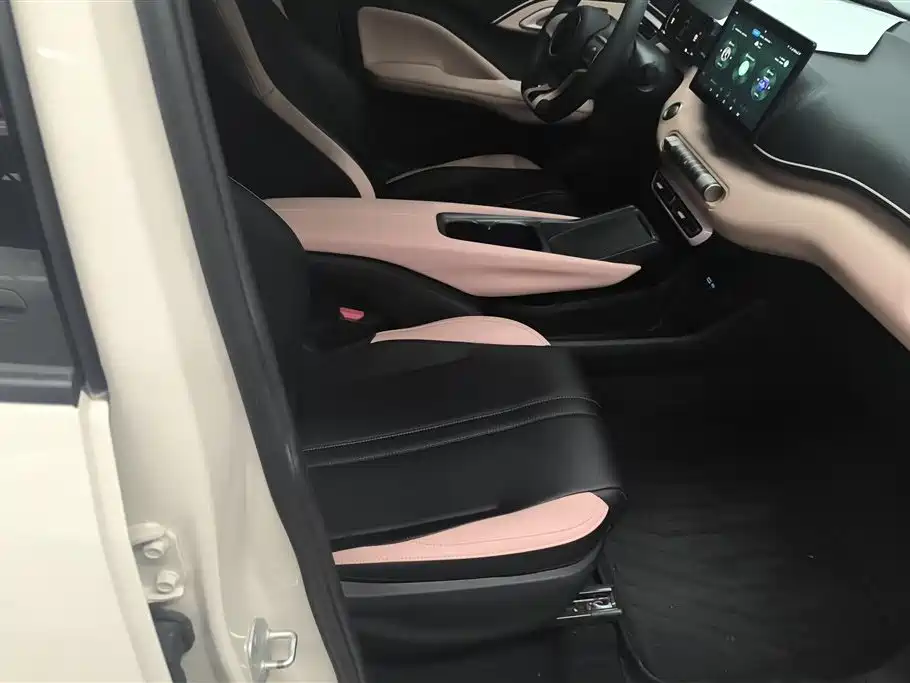 BYD Seagull 2025 305km