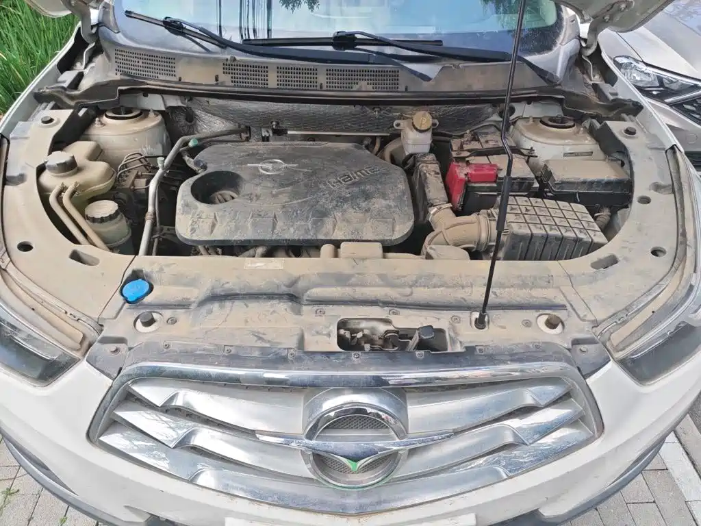 Haima Haima S5 — миниатюра 21