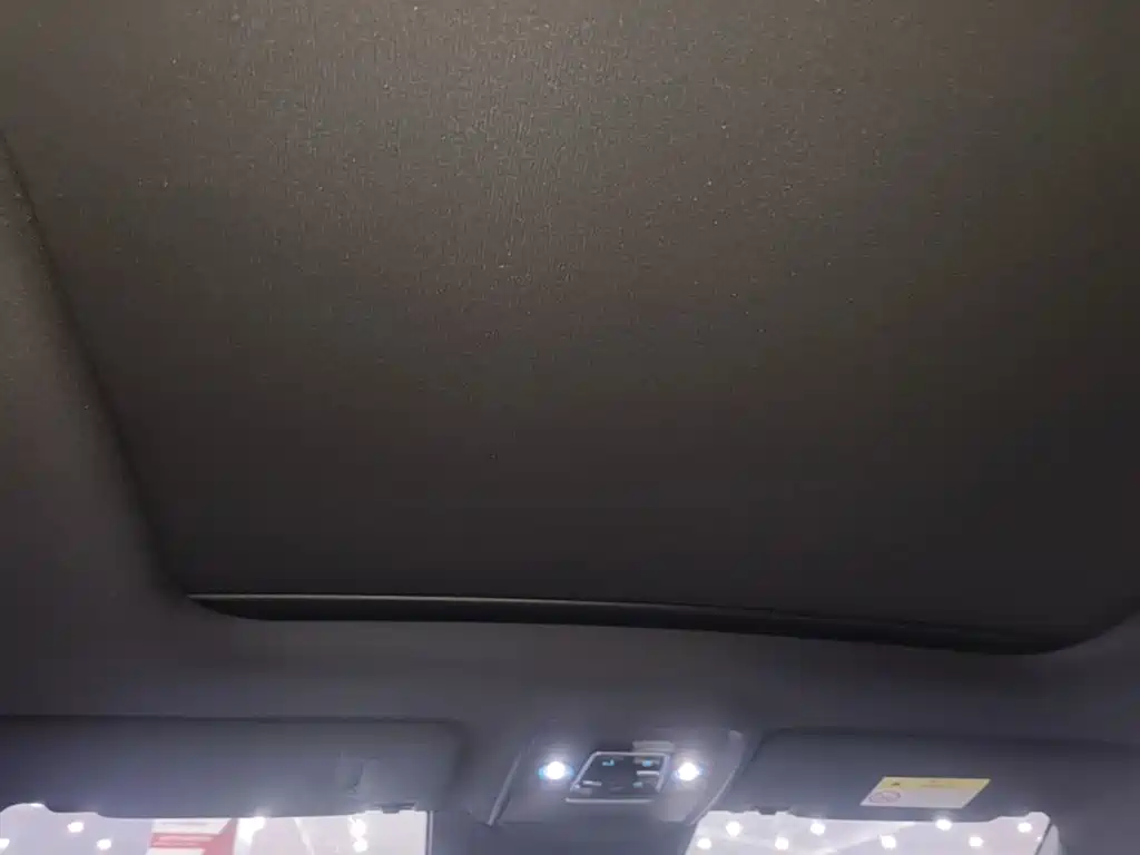 BYD PLUS New Energy — миниатюра 18