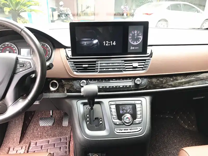 SAIC MAXUS CHASE G10