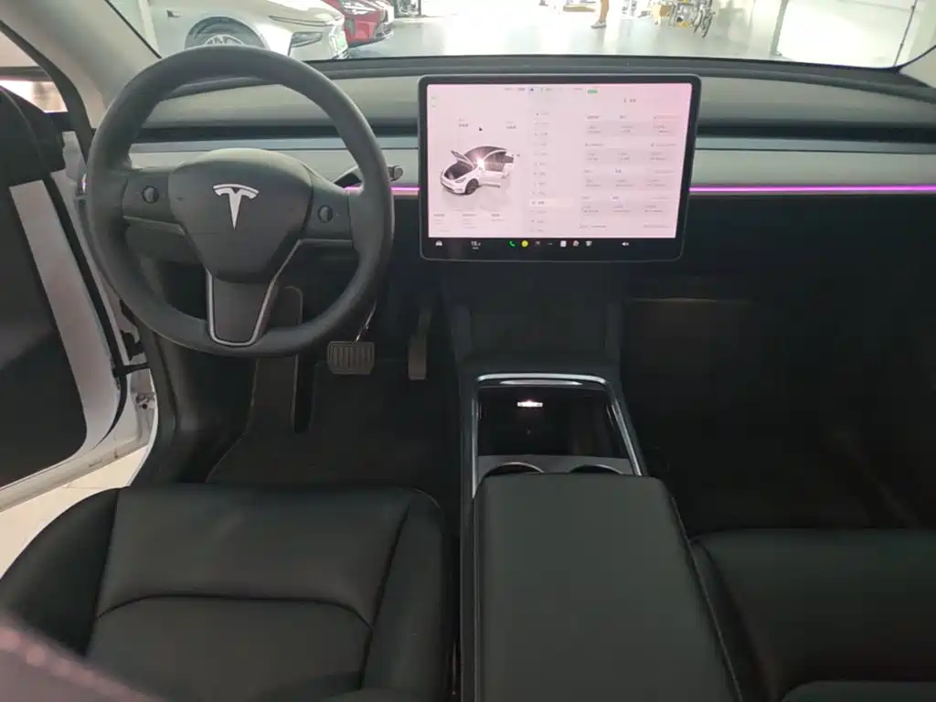 Tesla Model Y — миниатюра 10