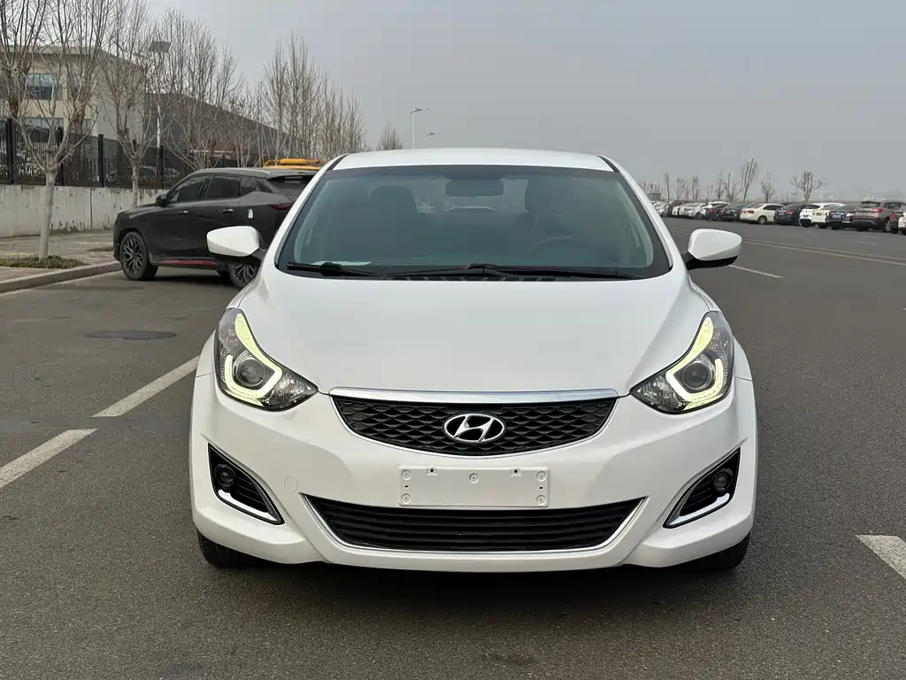 HYUNDAI LANGDONG