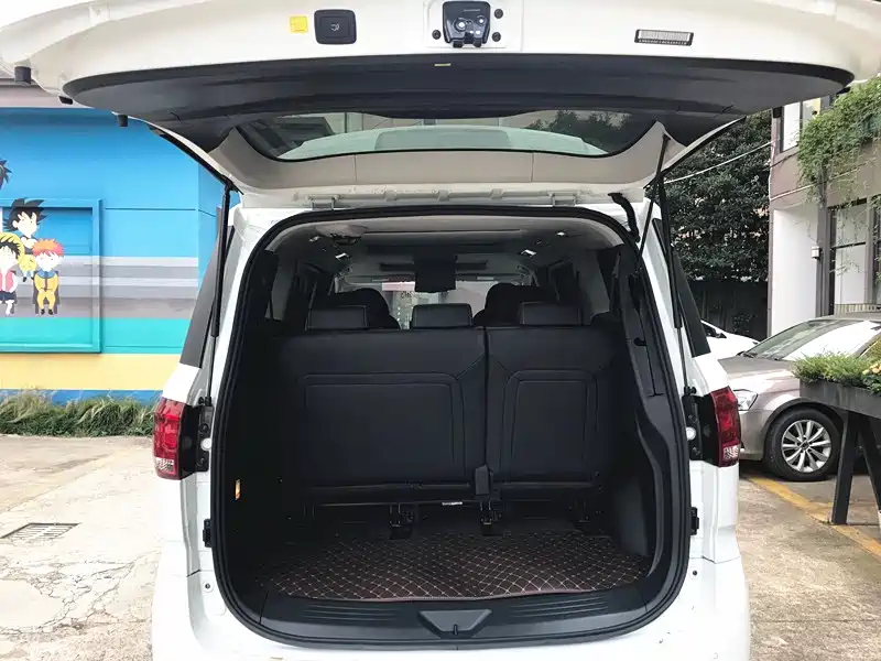 SAIC MAXUS CHASE G10