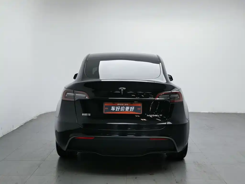 Tesla Model Y — миниатюра 4