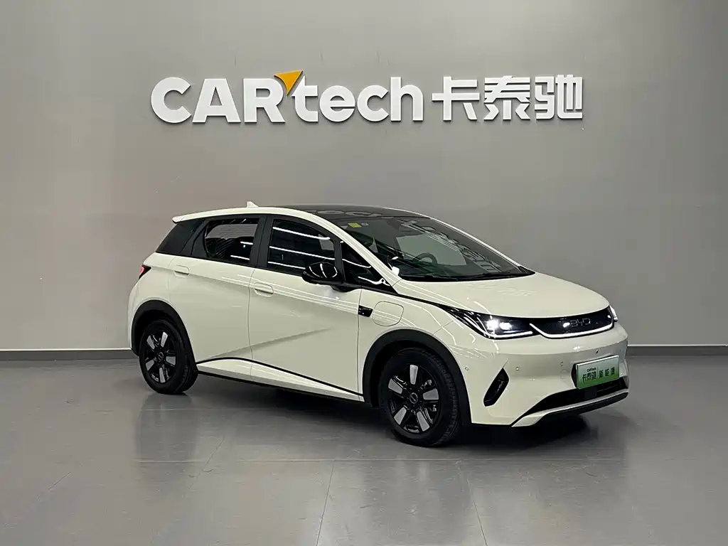 BYD Dolphin — миниатюра 3