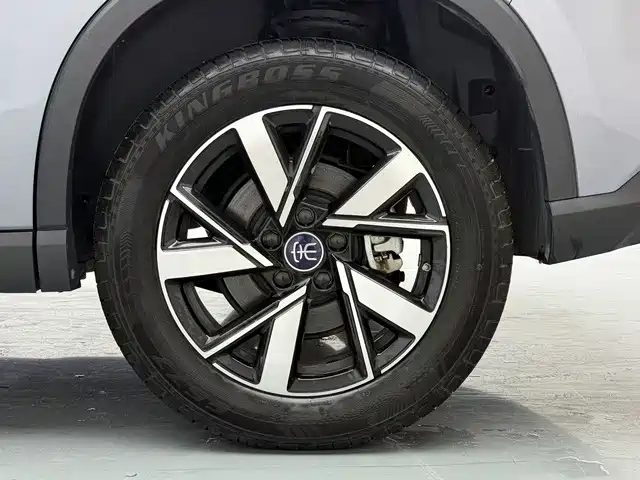 BYD Pro New Energy — миниатюра 19